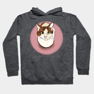 Soya the cat - friendly Hoodie